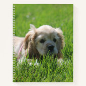 Carnet Luna (Devant)