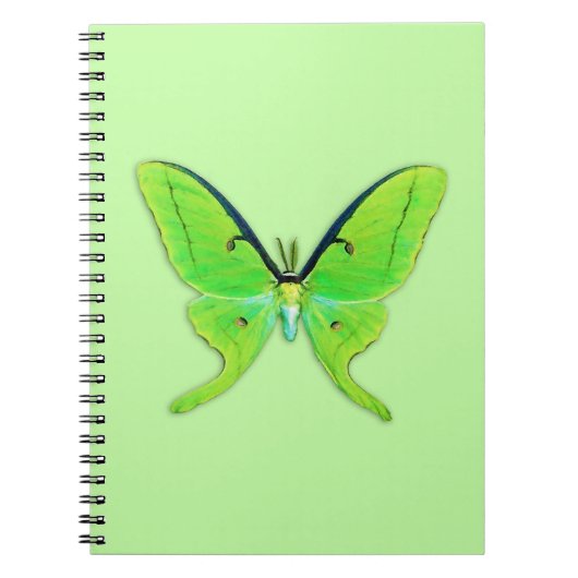 Carnet Luna moth sur un arrière - plan vert pâle (Devant)