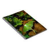 Carnet Luna verte géante (Côté Droit)