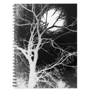 Carnet Lune