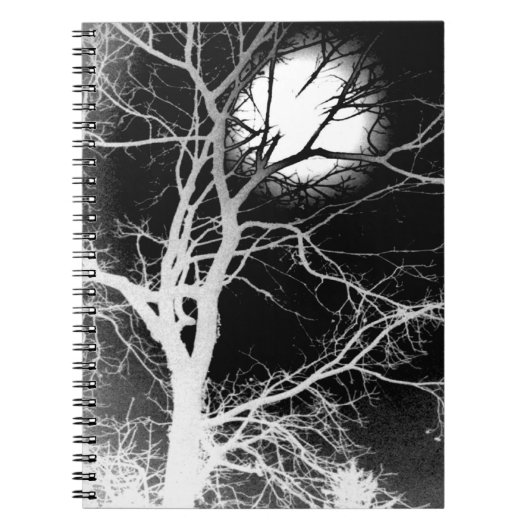 Carnet Lune (Devant)