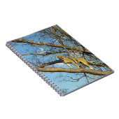 Carnet Lune dans un arbre (Côté Droit)