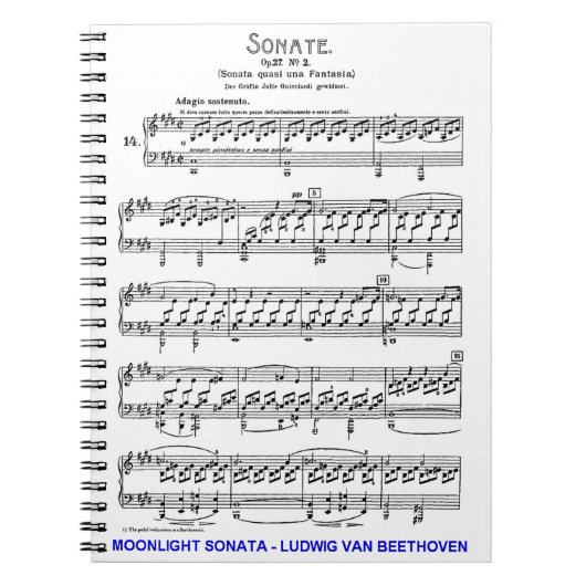 Carnet Lune-Sonate-Ludwig-Beethoven (Devant)