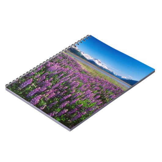 Carnet Lupines en fleur | Kenai Mountains, Alaska (Côté gauche)