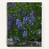 Carnet Lupins (Devant)