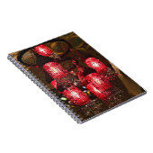 Carnet Lustre à vendre, souk Khan el Khalili, (Côté Droit)