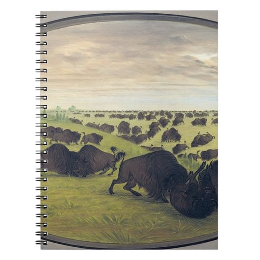 Carnet Lutte contre les buffles (Devant)