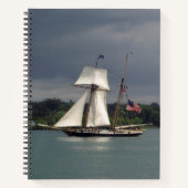 Carnet Lynx (Devant)