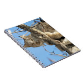 Carnet Lynx espiègle (Côté Droit)