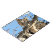 Carnet Lynx espiègle (Côté gauche)
