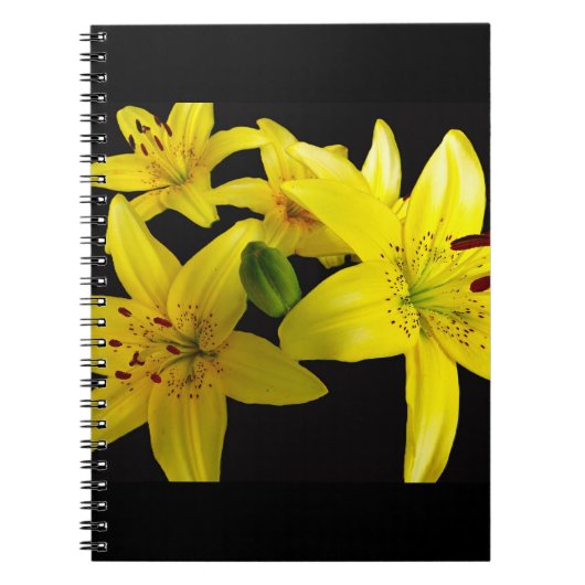 Carnet Lys asiatiques sur noir (Devant)