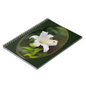 Carnet Lys blanc crépusculaire (Côté gauche)