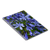Carnet Lys bleu du Nil Agapanthus Floral (Côté Droit)