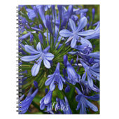 Carnet Lys bleu du Nil Agapanthus Floral (Devant)