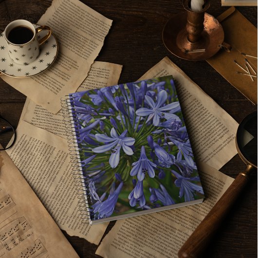 Carnet Lys bleu du Nil Agapanthus Floral