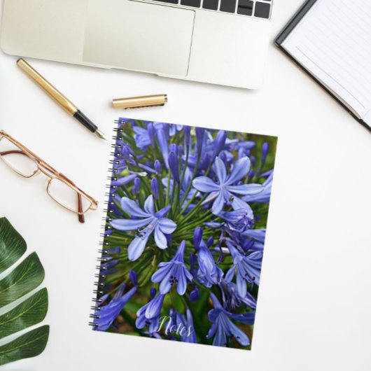 Carnet Lys bleu du Nil Agapanthus Floral