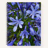 Carnet Lys bleu du Nil Agapanthus Floral (Devant)