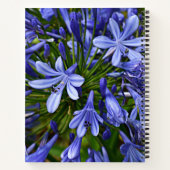 Carnet Lys bleu du Nil Agapanthus Floral (Dos)