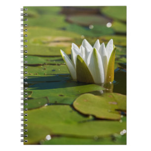 Carnet Lys d'eau