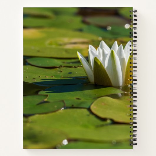 Carnet Lys d'eau (Dos)