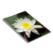 Carnet Lys d'eau (Côté Droit)