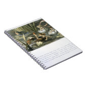 Carnet Lys d'eau et fées d'eau, illustration de (Côté Droit)