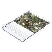 Carnet Lys d'eau et fées d'eau, illustration de (Côté gauche)