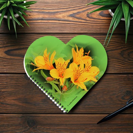 Carnet Lys élégant des Incas / Alstroemeria jaune