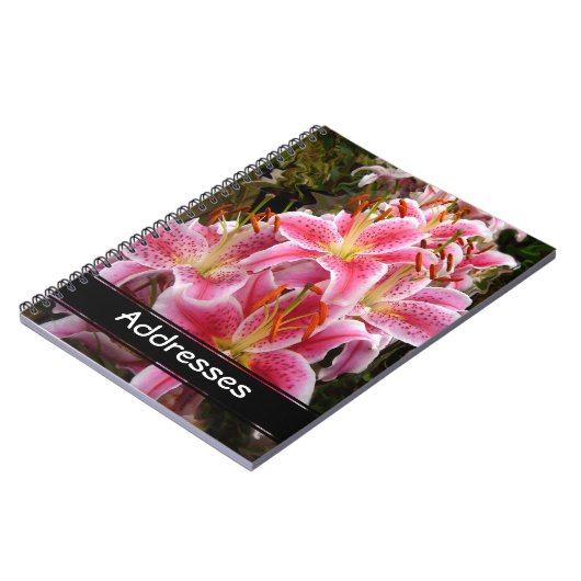 Carnet Lys Stargazer Rose (Côté gauche)