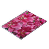 Carnet Lys stargazers roses (Côté gauche)