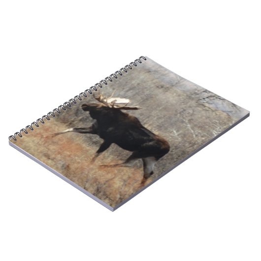 Carnet M10 Bull moose (Côté gauche)