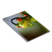 Carnet M. Frog avec casque (Côté Droit)