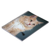 Carnet M. Handsome (Côté gauche)