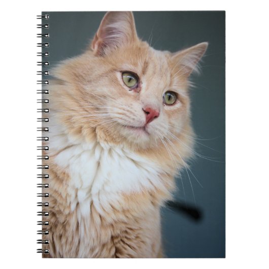 Carnet M. Handsome (Devant)