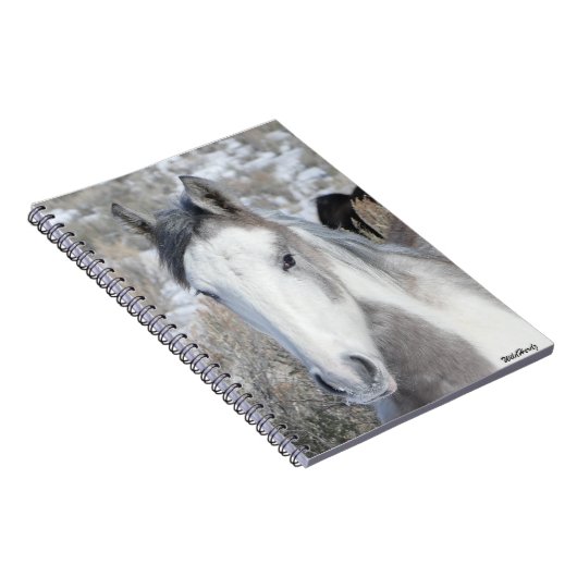 Carnet M. Kitty (Côté Droit)