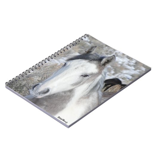 Carnet M. Kitty (Côté gauche)