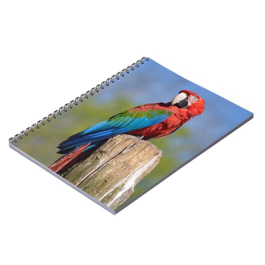 Carnet Macao à ailes vertes perché (Côté gauche)