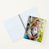 Carnet Macaque crabier (Intérieur)