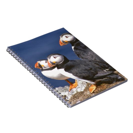 Carnet Macareux-tastic (Côté Droit)