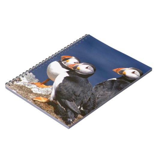 Carnet Macareux-tastic (Côté gauche)