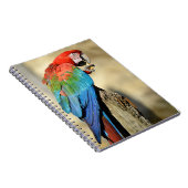 Carnet Macaw à ailes vertes sur perche (Côté Droit)