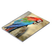 Carnet Macaw à ailes vertes sur perche (Côté gauche)