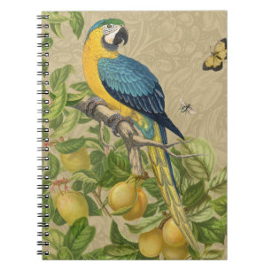 Carnet Macaw Blue Jaune Tropical Jungle Antique