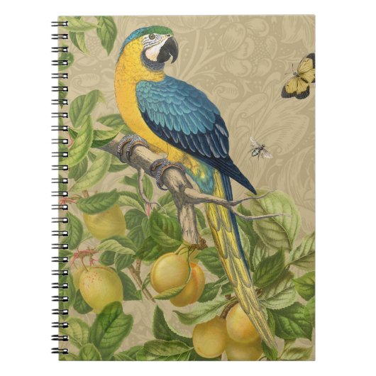 Carnet Macaw Blue Jaune Tropical Jungle Antique (Devant)
