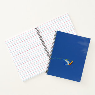 Carnet Macaw Kite
