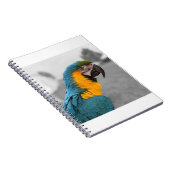 Carnet Macaw Parrot (Côté Droit)