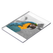 Carnet Macaw Parrot (Côté gauche)