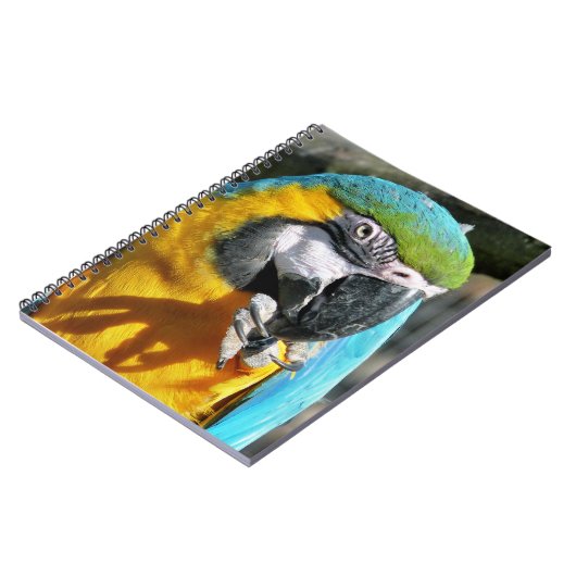 CARNET MACAWS (Côté gauche)