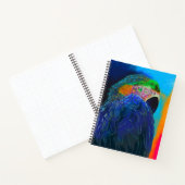 Carnet MacCaw (Intérieur)