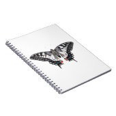 Carnet Machaon 2012 (Côté Droit)